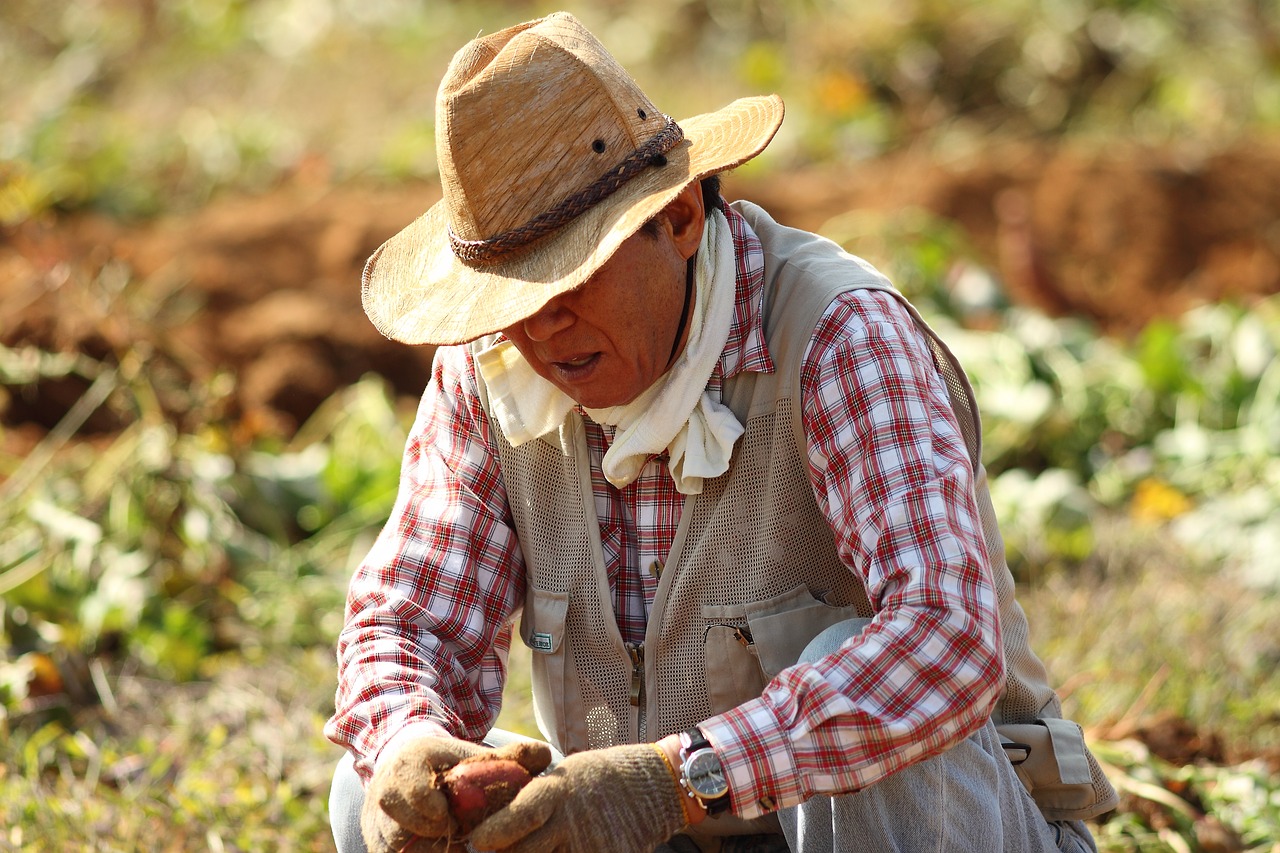 Image - straw hat farmer