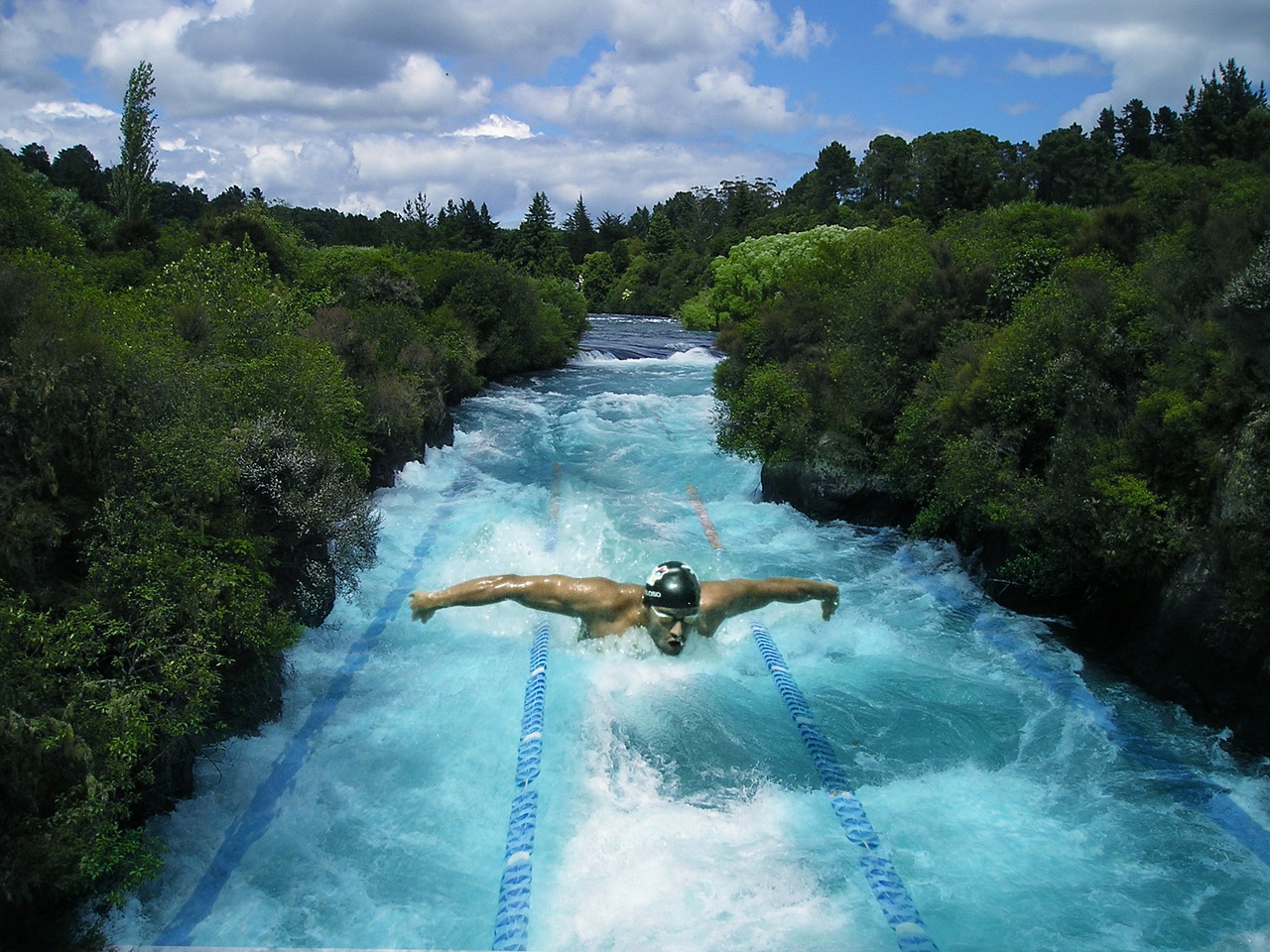 Image - swimming swim swimming pool summer