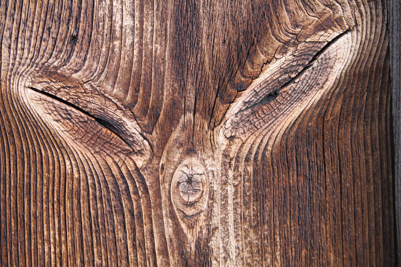 Image - wood knothole tree nature log