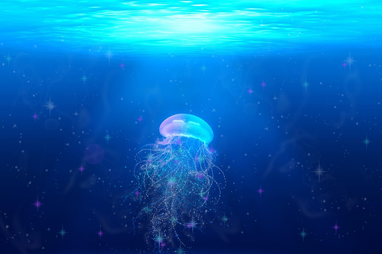 Image - jellyfish fantasy glitter blue