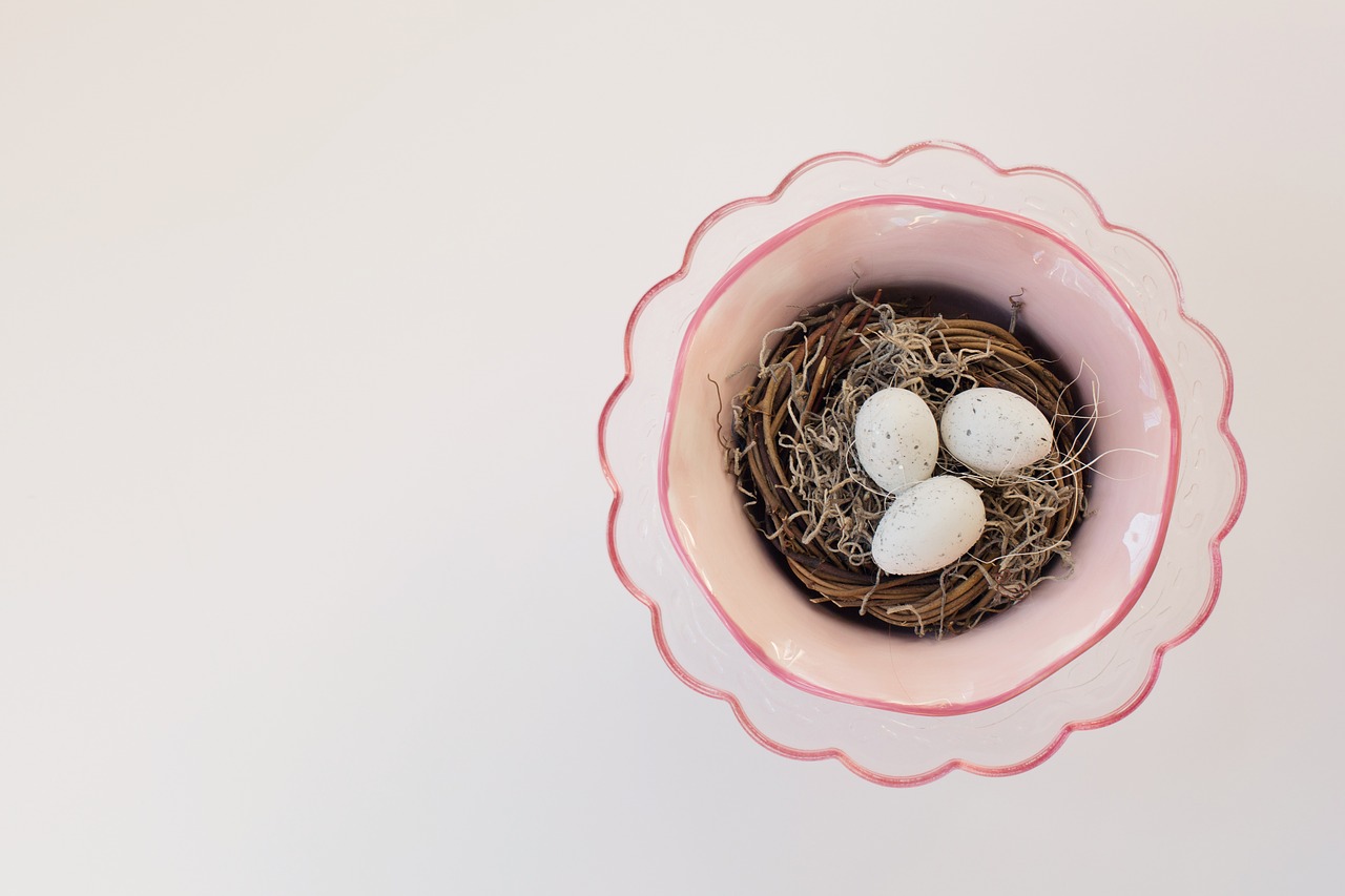 Image - bird s nest spring easter pink