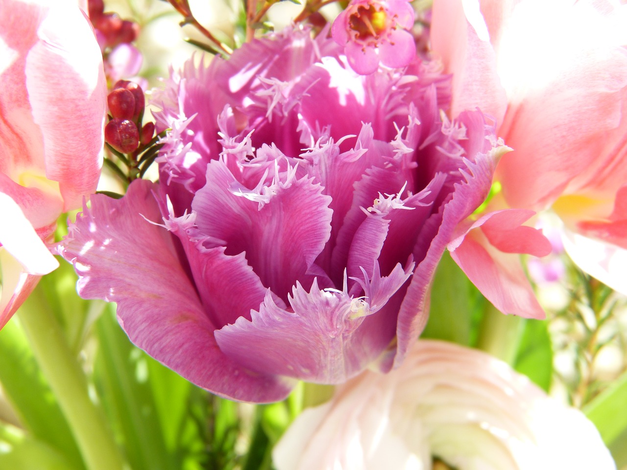 Image - tulips flowers pink spring bouquet