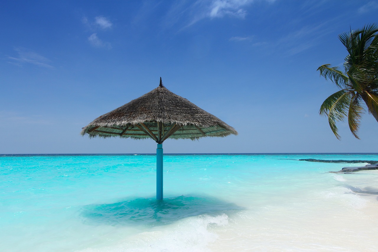 Image - maldives palm trees beach summer