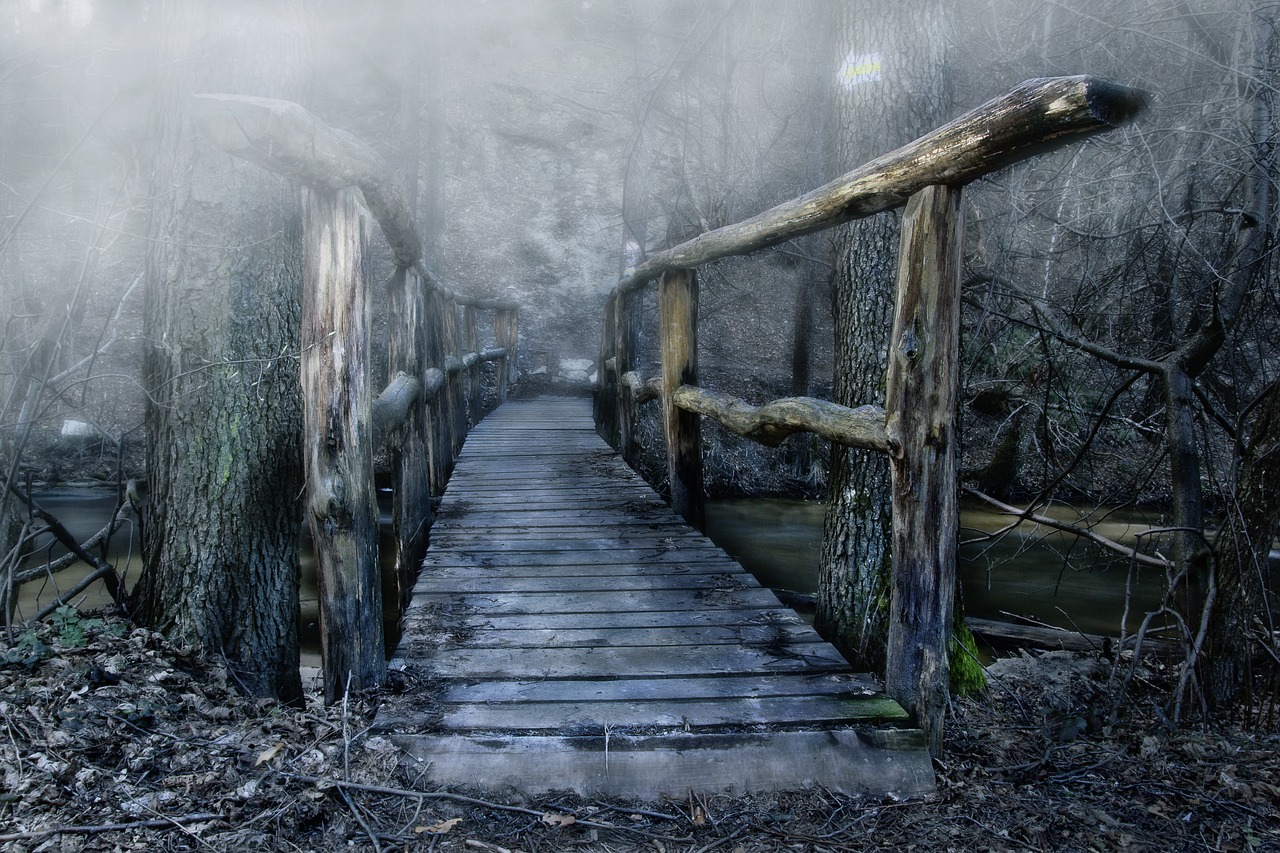 Image - bridge wooden bridge color the fog