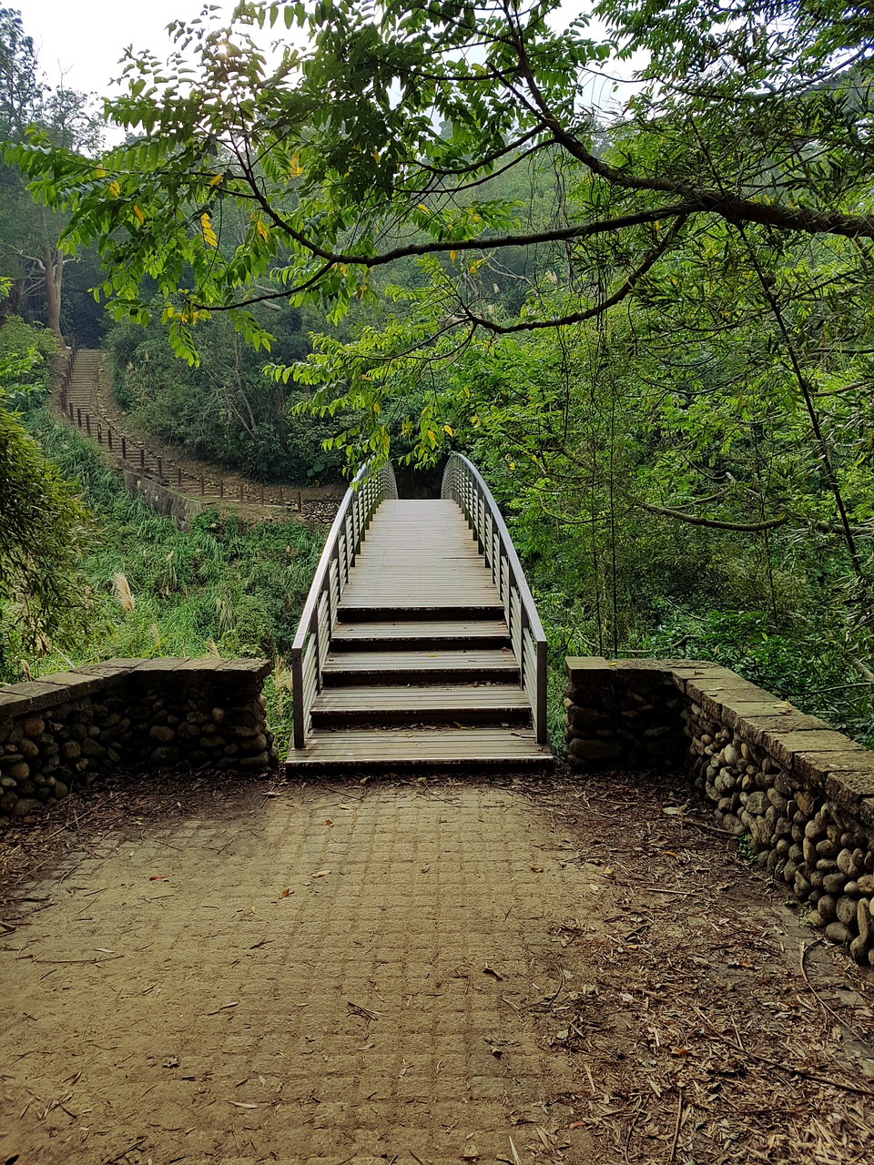 Image - bridge forest path nature