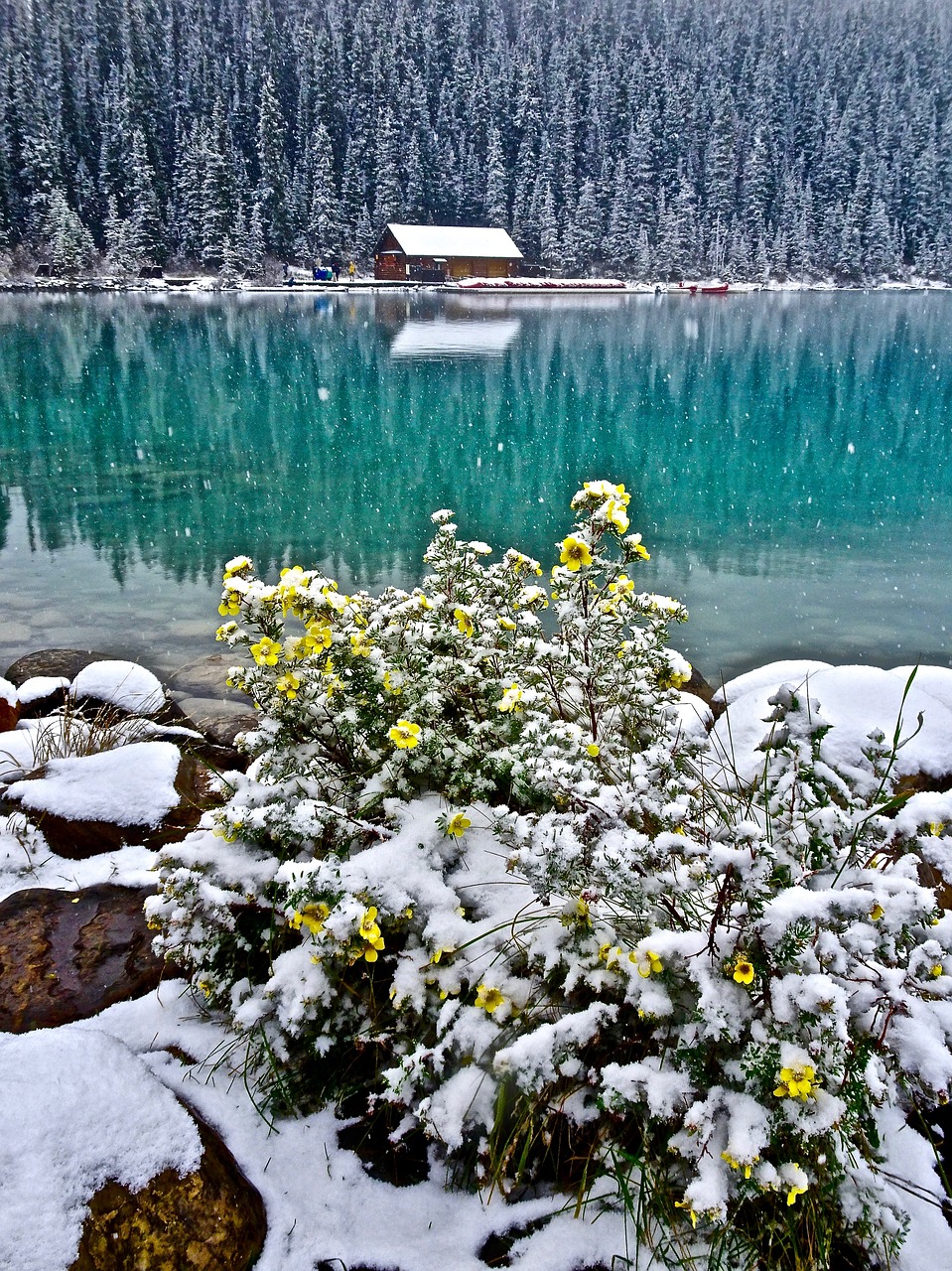 Image - cabin lake water forest fishing