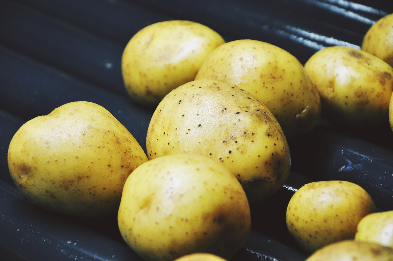 Image - potatoes washing tubers a vegetable