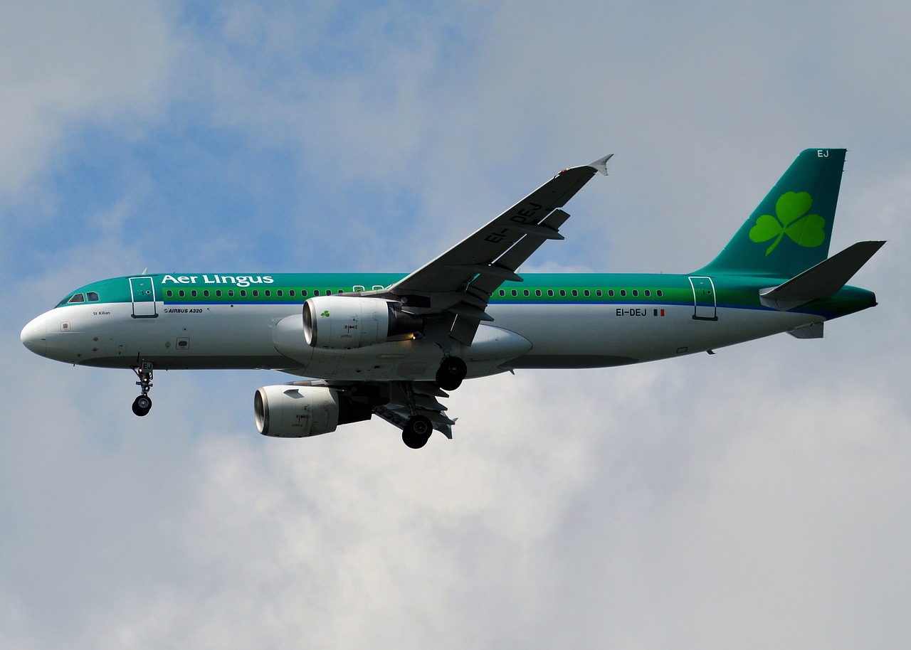 Image - aer lingus plane airplane aircraft