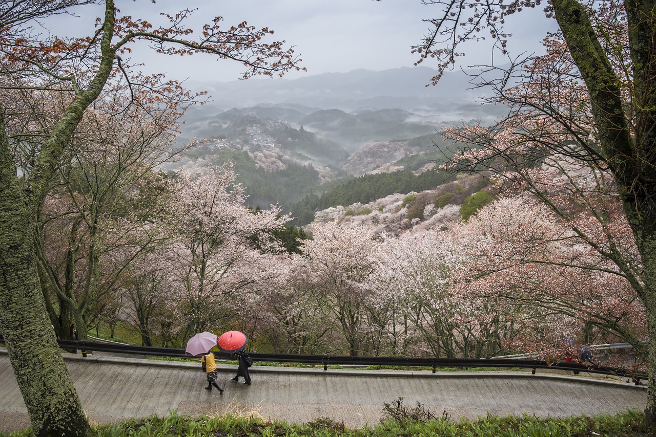 Image - landscape japan nara prefecture