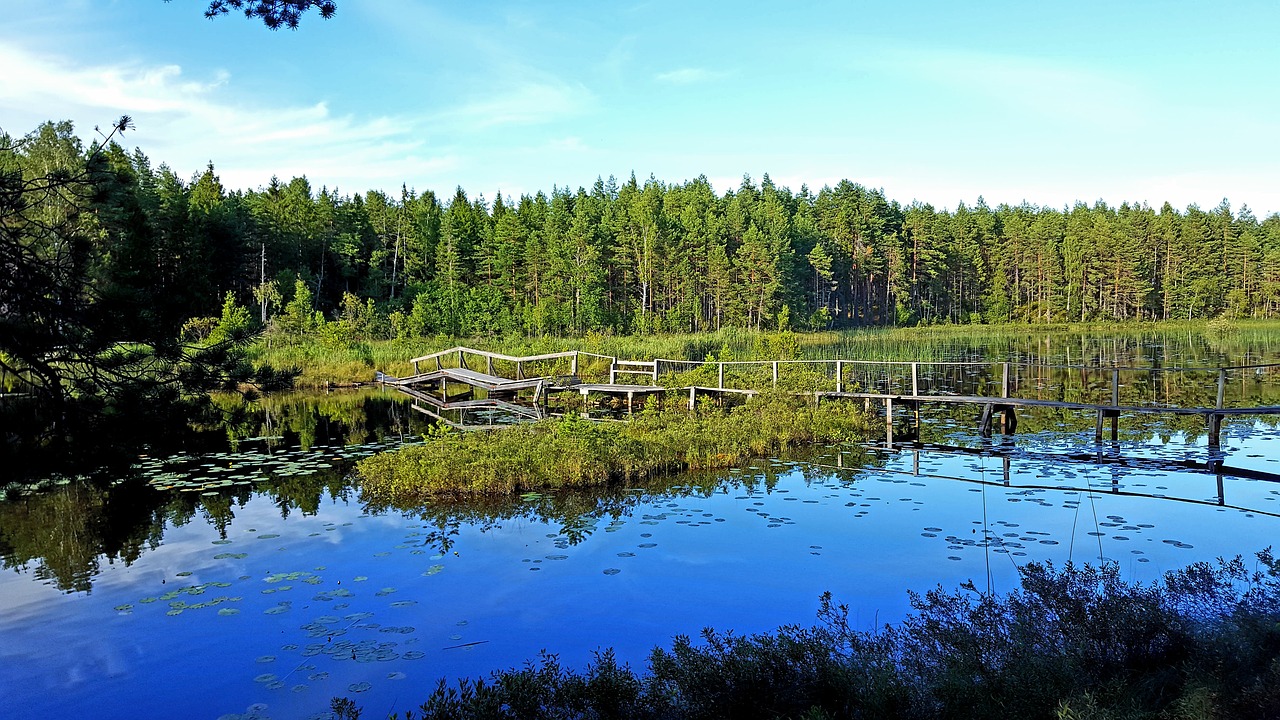 Image - water forest lake västmanland