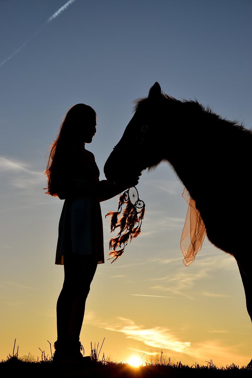 Image - sunrise silhouette horse