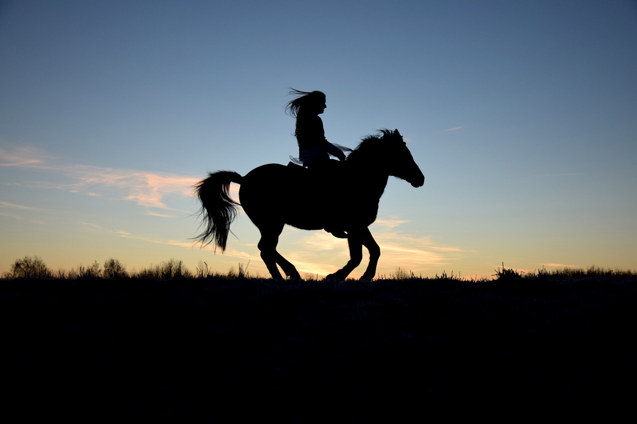 Image - silhouette sunrise dam ride horse