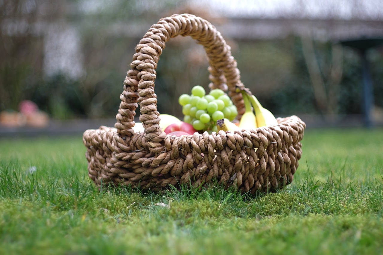 Image - garden apple fruit natural healthy