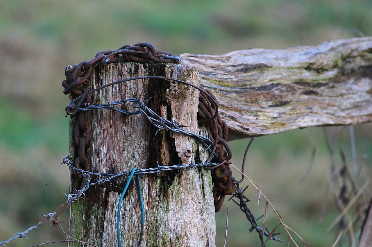 Image - old fence weathered goal post