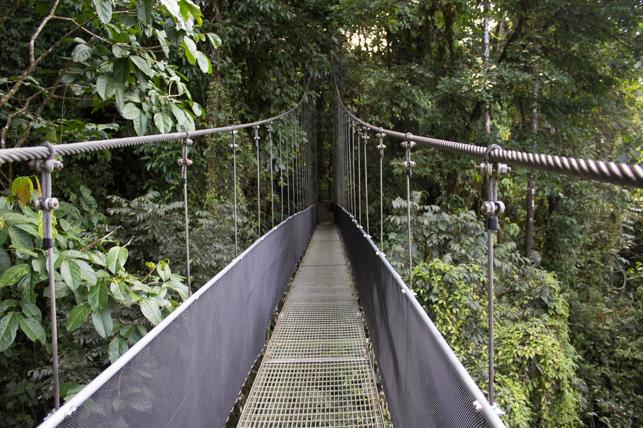 Image - bridge rain forest costa rica