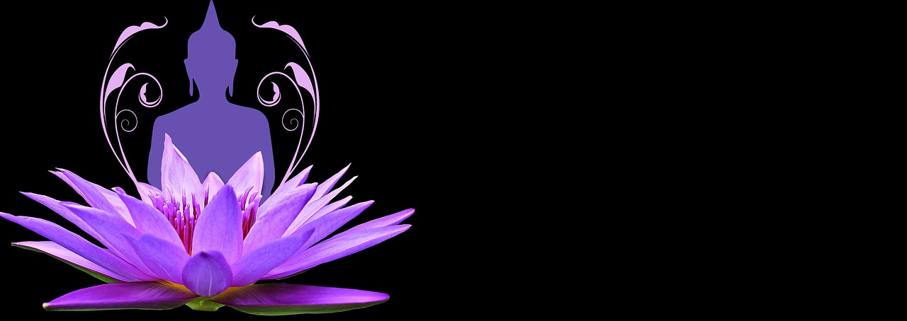 Image - water lily pink purple wellness