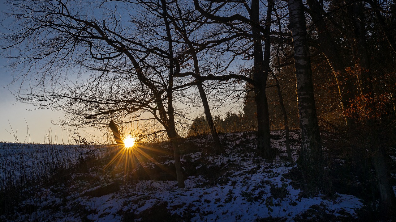 Image - forest winter snow evening sunset