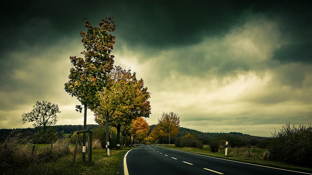 Image - autumn road trees leaves asphalt