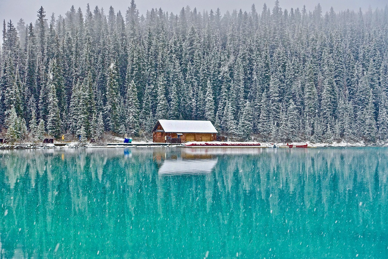 Image - cabin lake louise canada forest