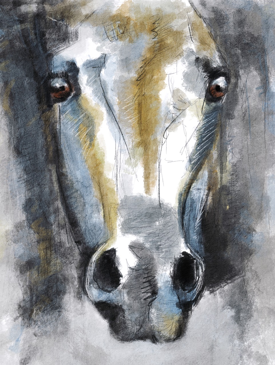 Image - illustration horse animal horsehead