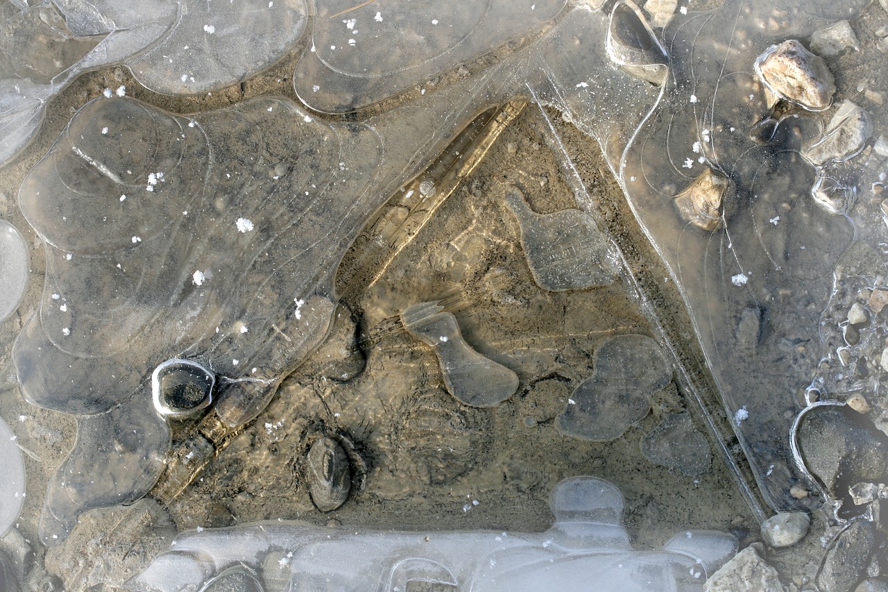 Image - ice puddle frozen nature winter