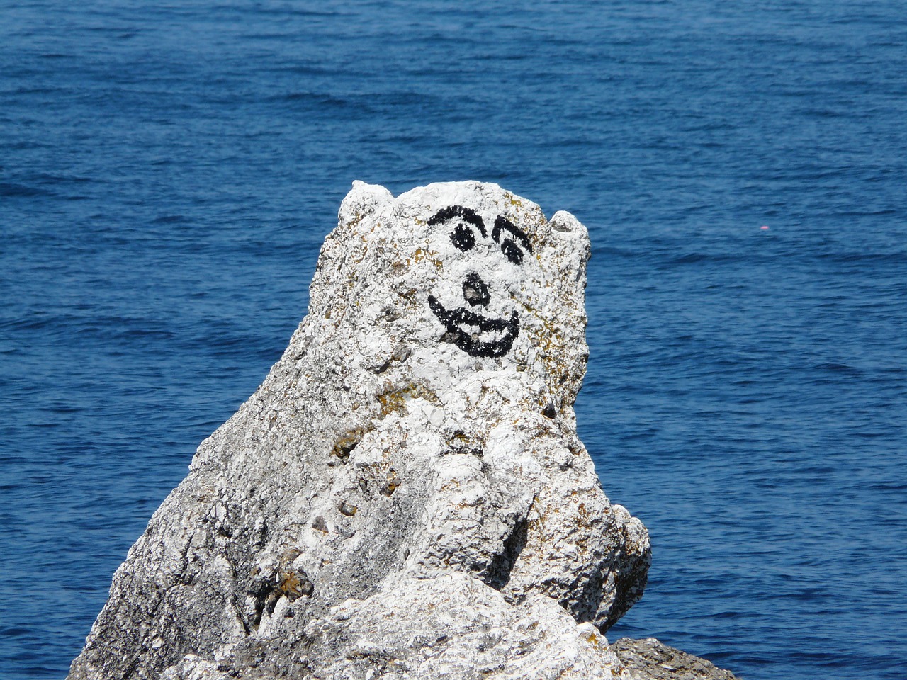 Image - art rock humour ireland bear