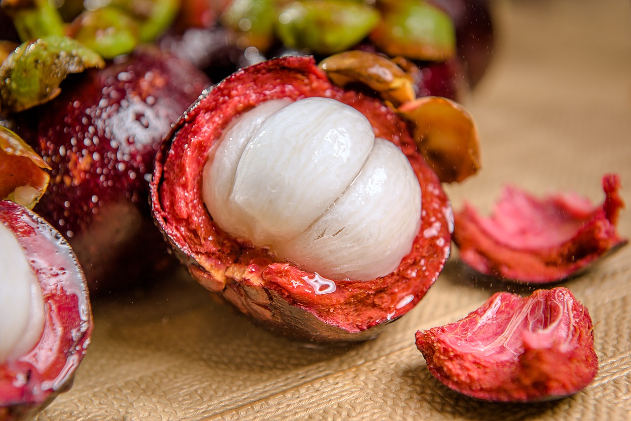 Image - mangosteen fruit fruit photo