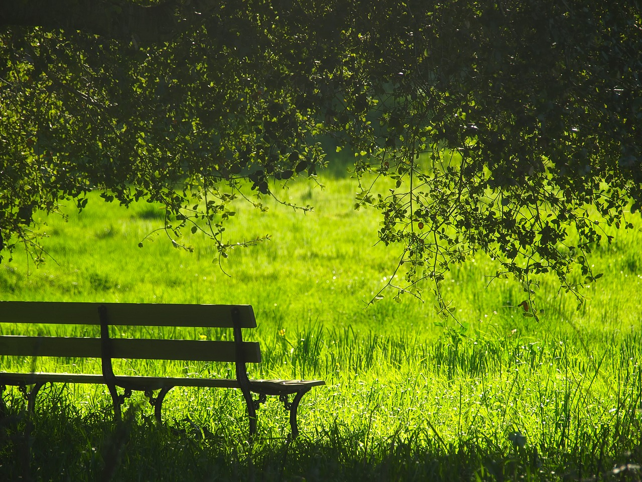 Image - bench landscape park field meadow