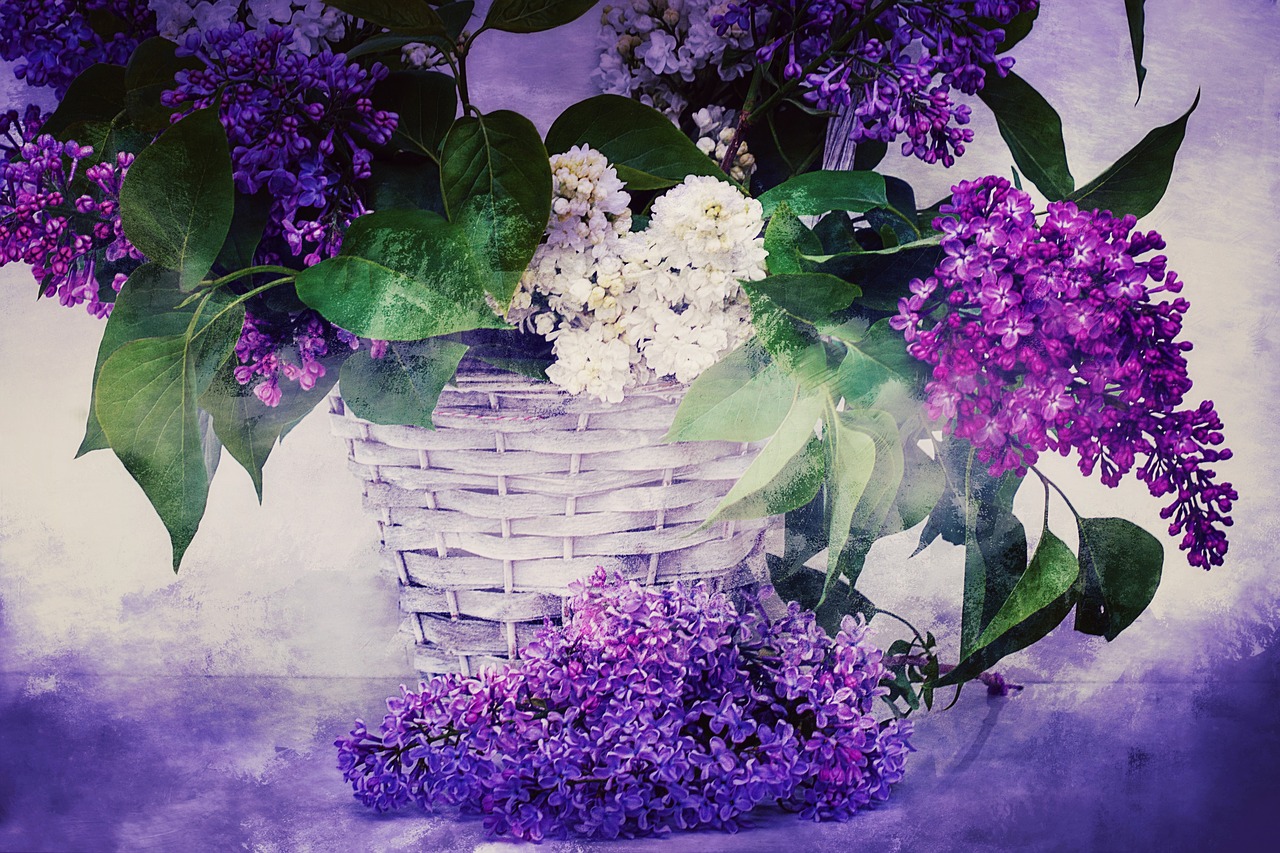 Image - texture background lilac