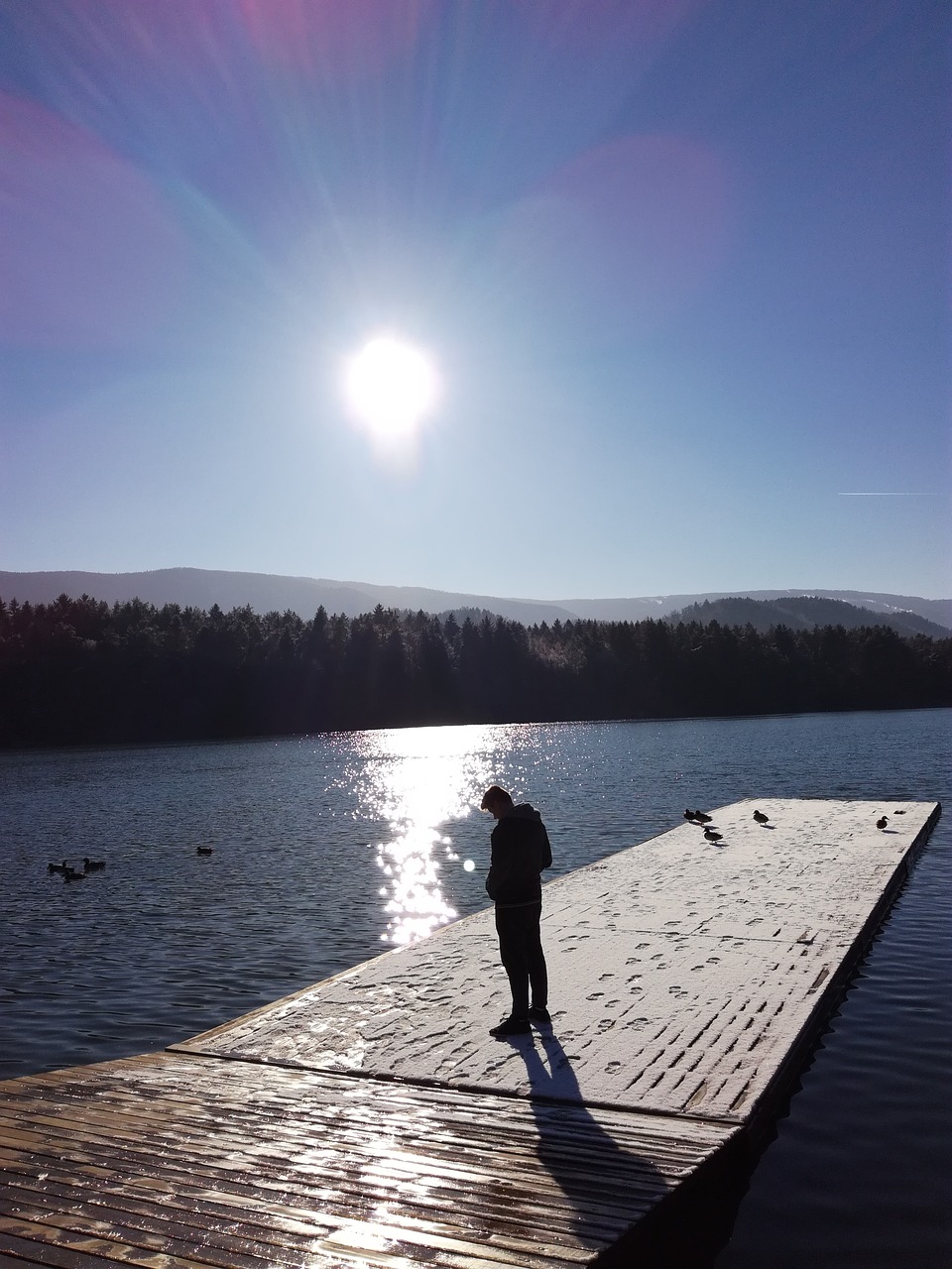 Image - outdoor nature boy ducks swans