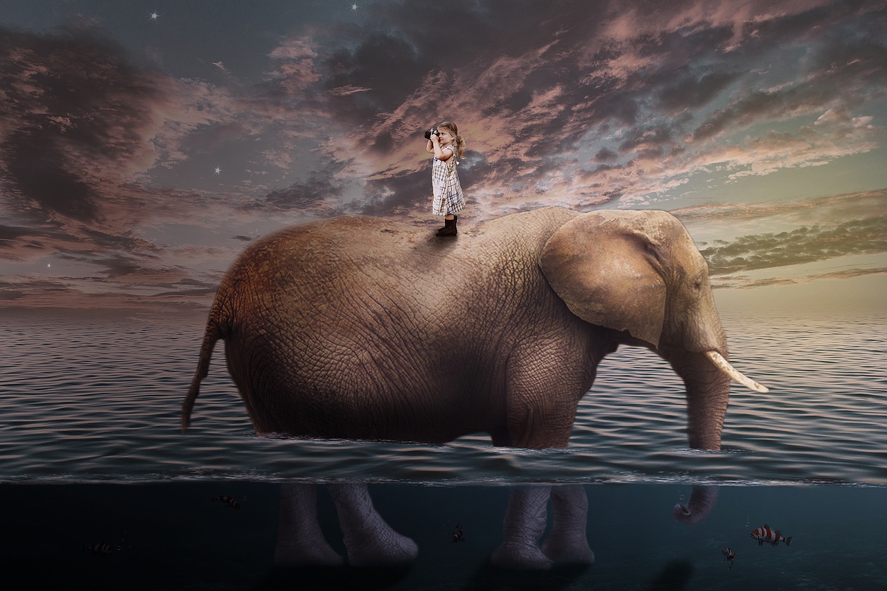 Image - travel elephant child