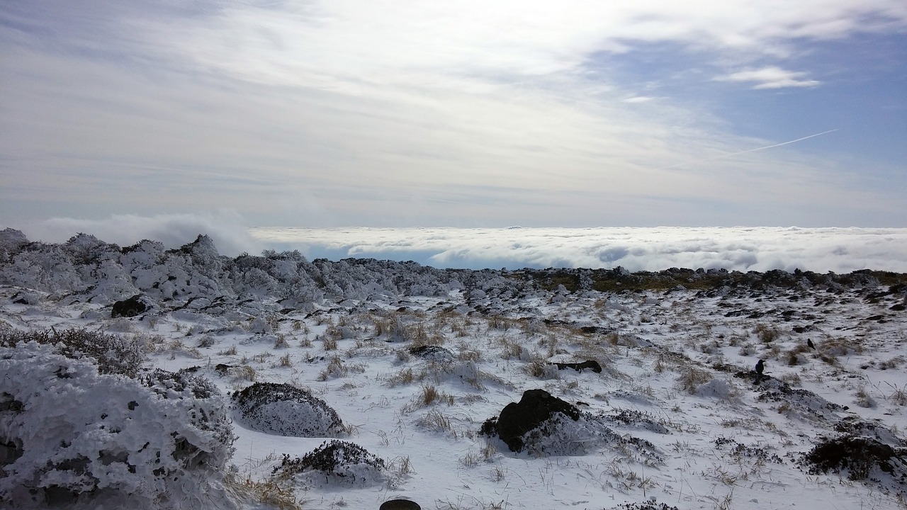 Image - mountain halla course winter yeongsil