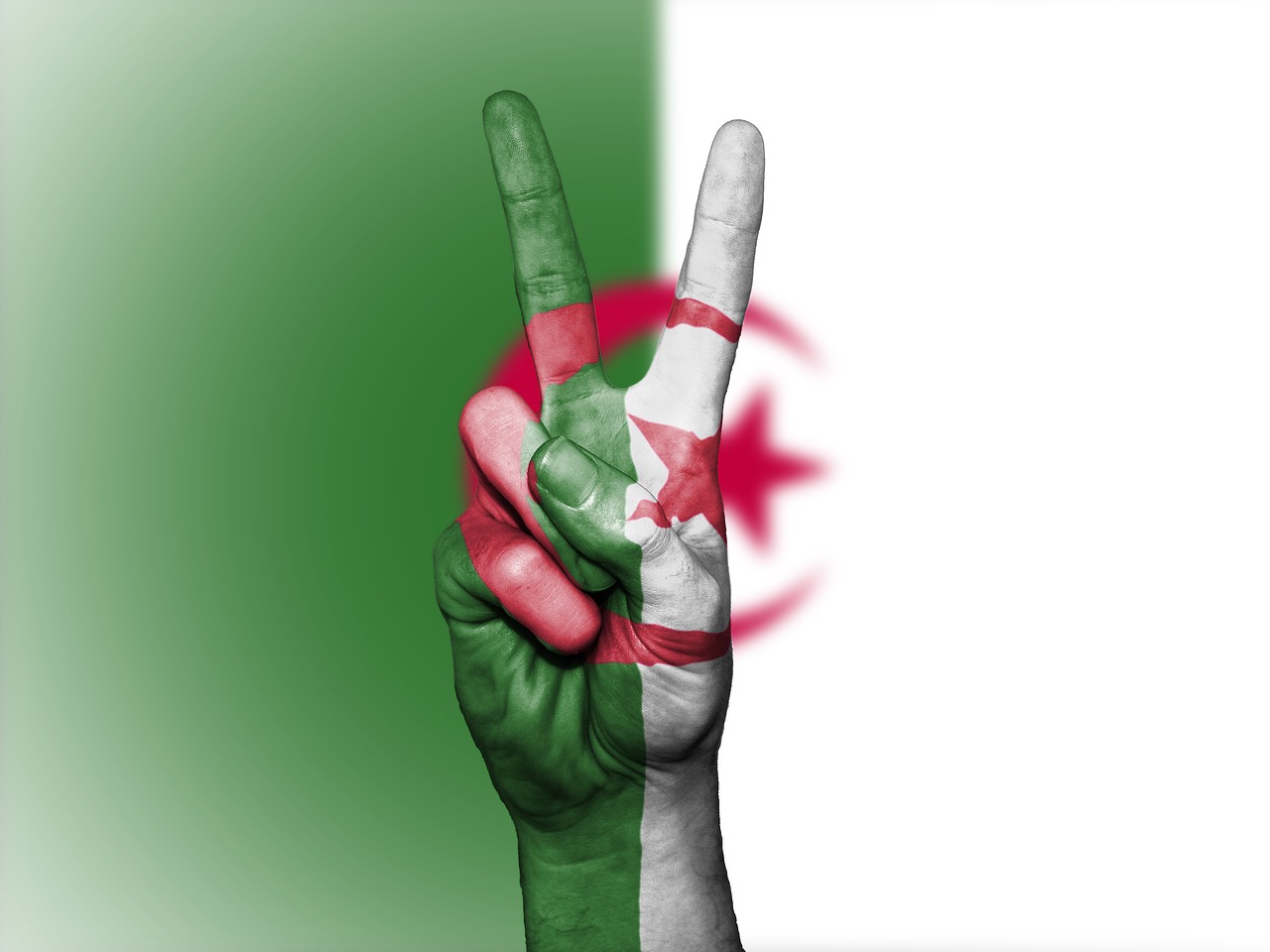 Image - algeria flag peace nation national