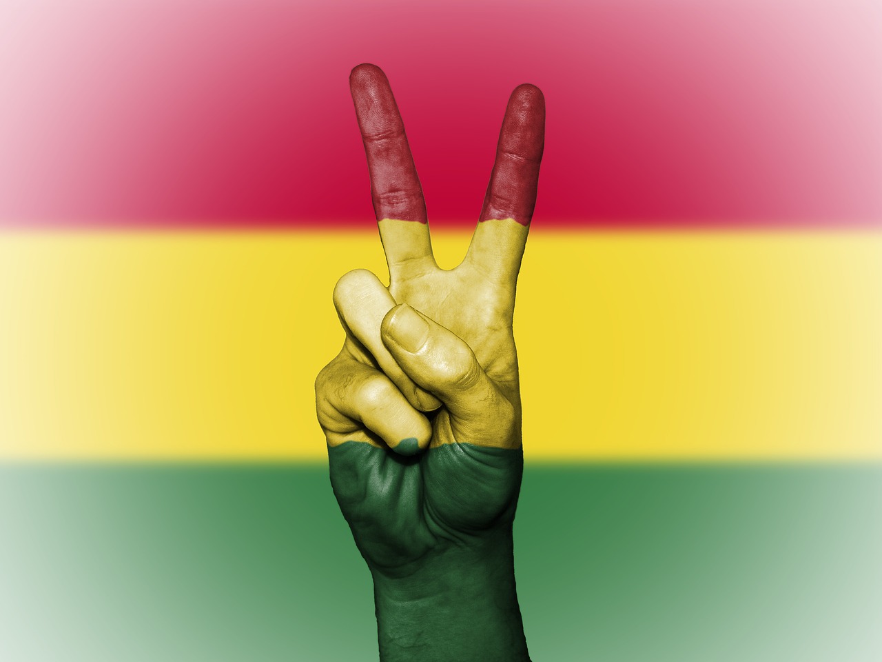 Image - bolivia flag peace background