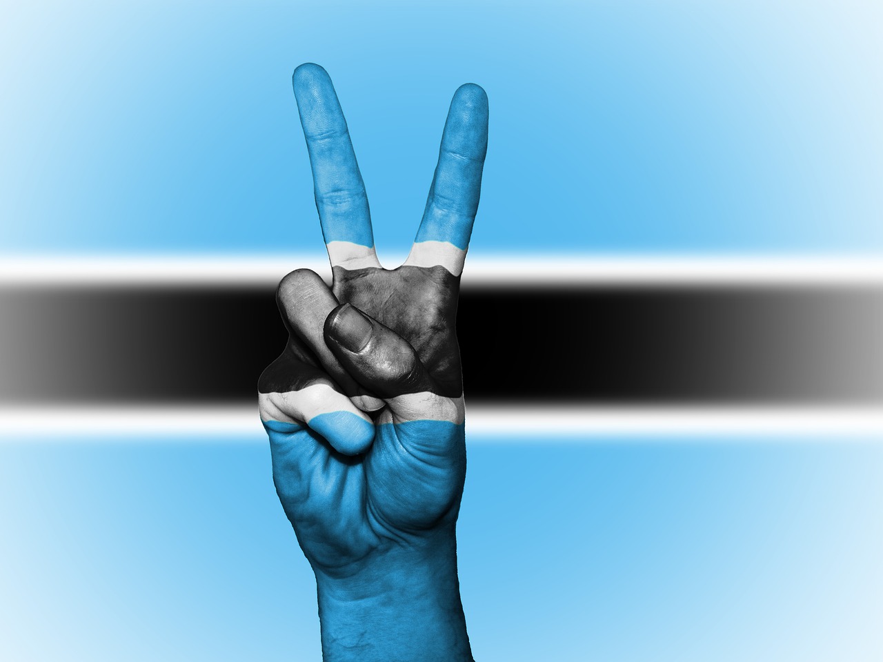 Image - botswana flag peace background