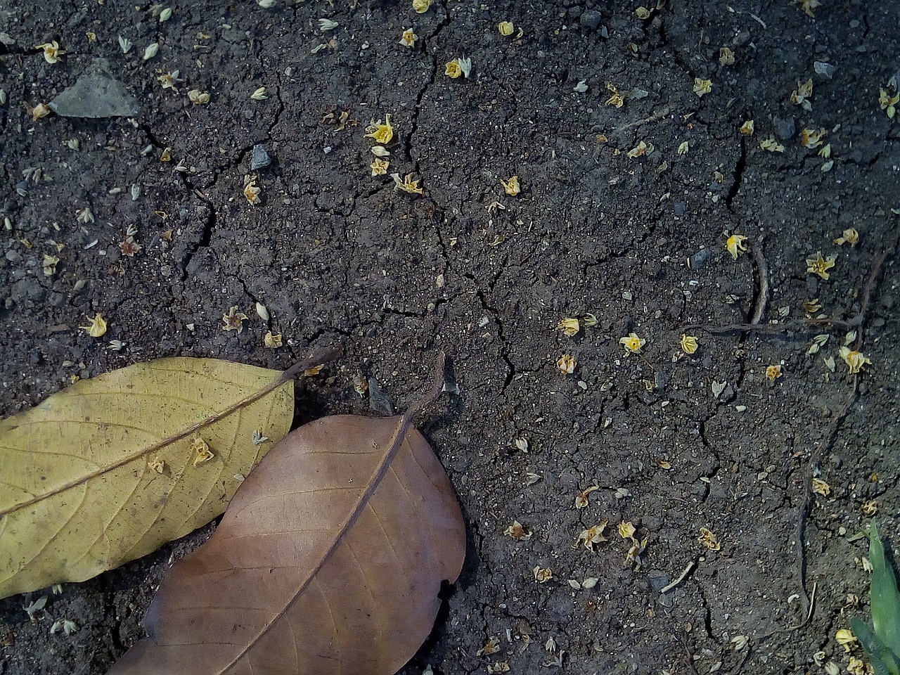 Image - ground soil the ground dry land