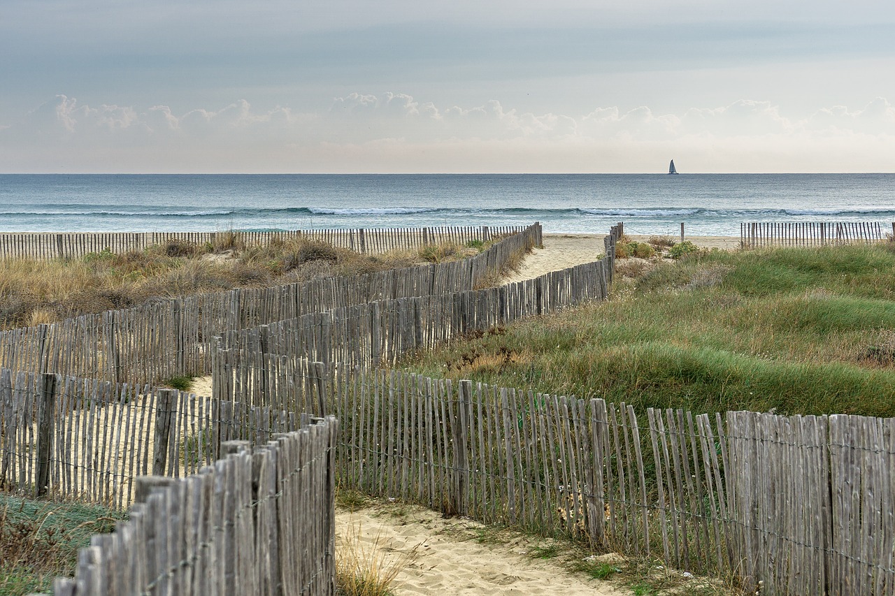 Image - landscape beach dunes sand