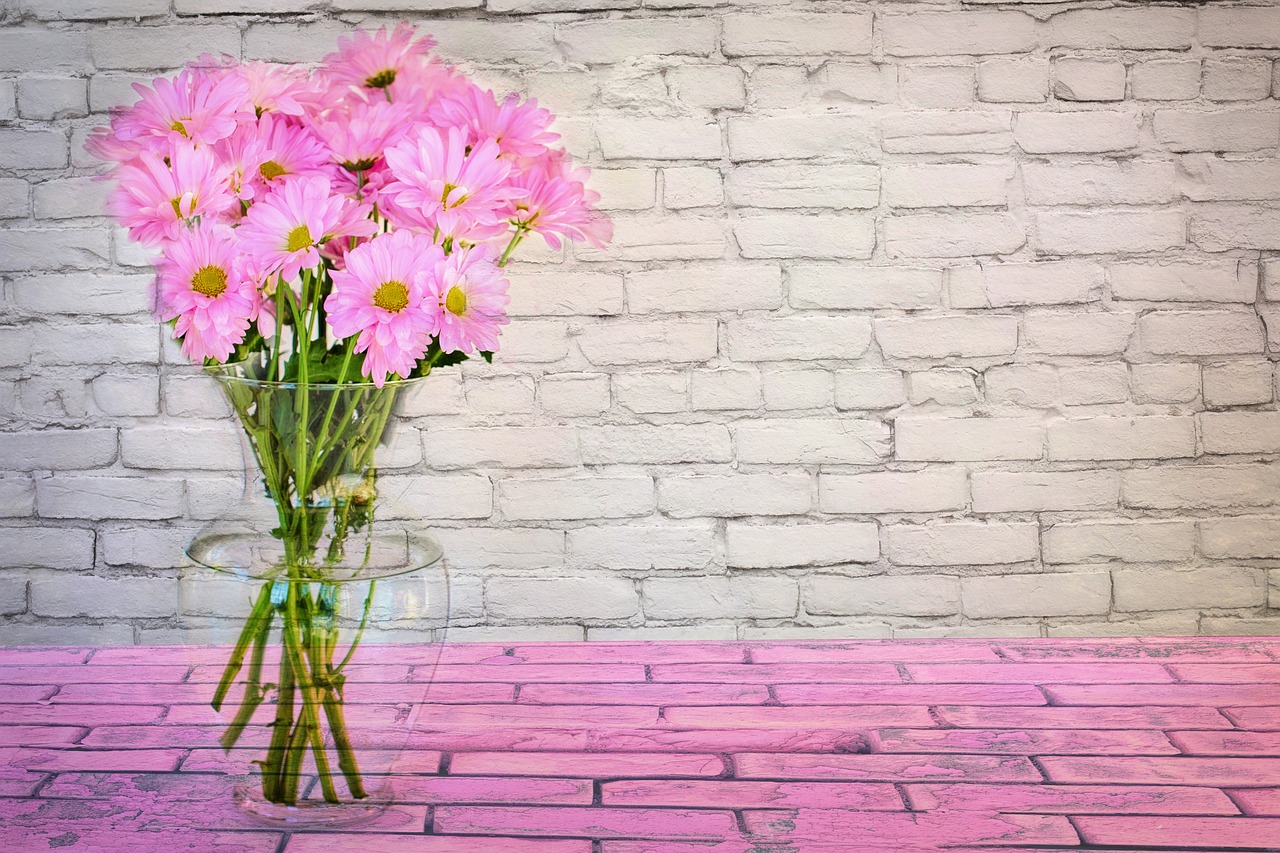 Image - spring flowers daisies pink floral