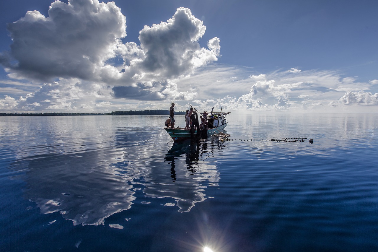 Image - reflection of the surface of the water