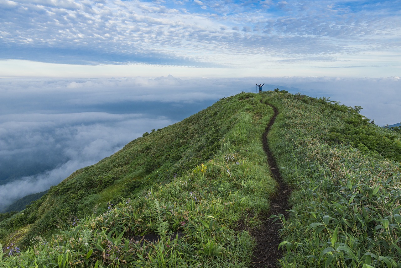 Image - the path on the summit winner trail