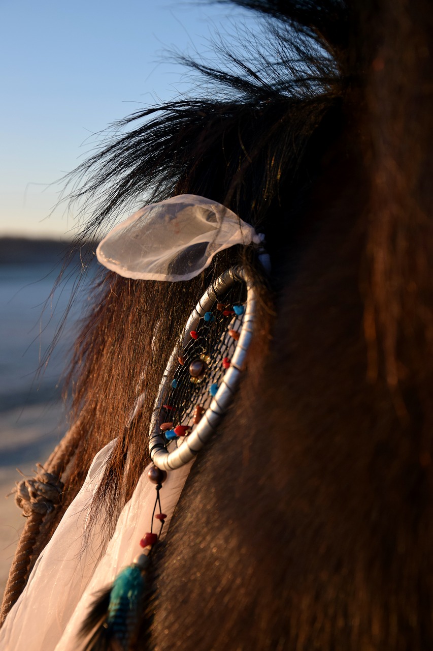 Image - horse accessories dream catcher mane
