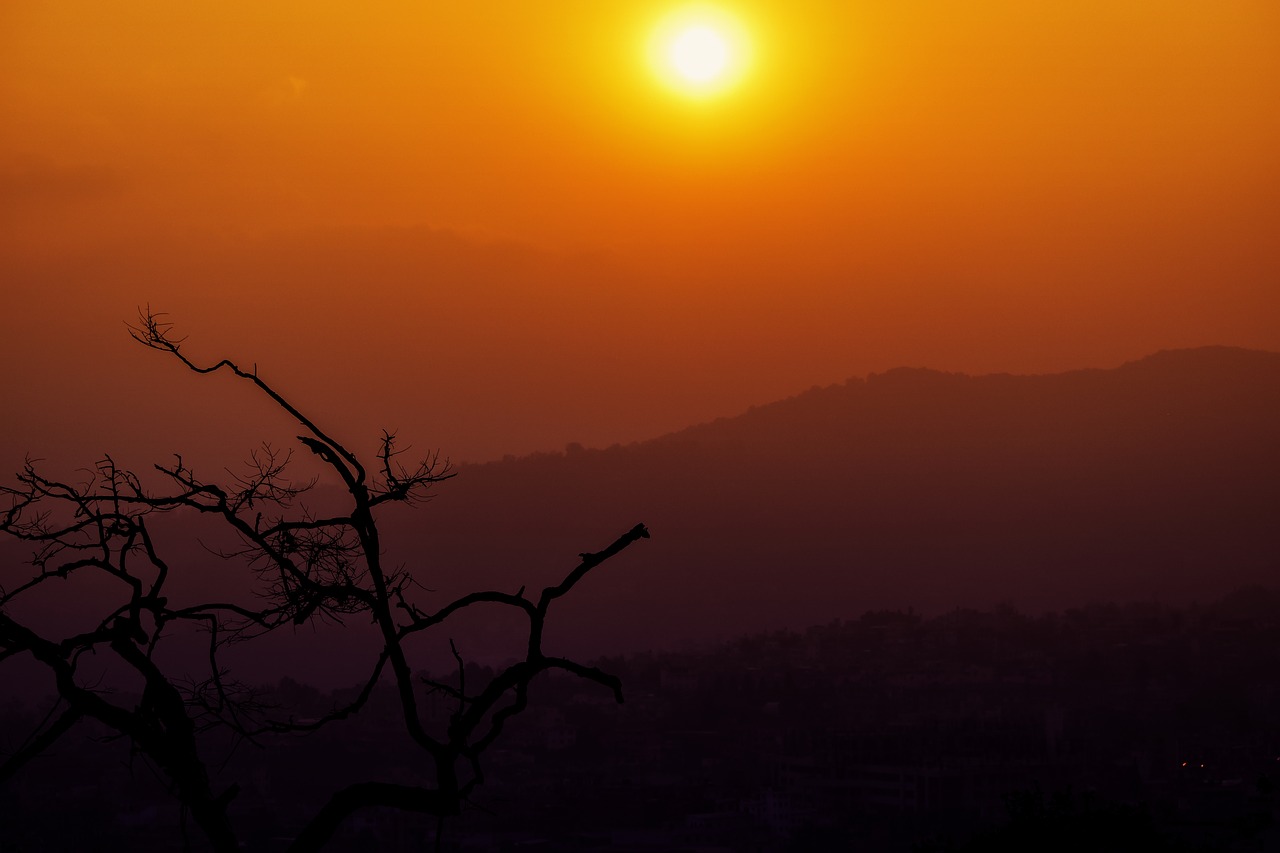 Image - sunset temple tree silhouette