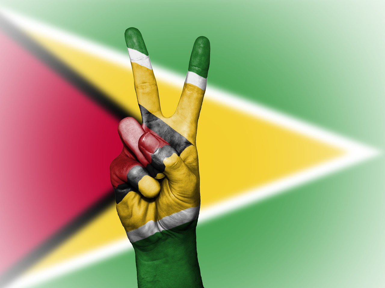 Image - guyana peace hand nation