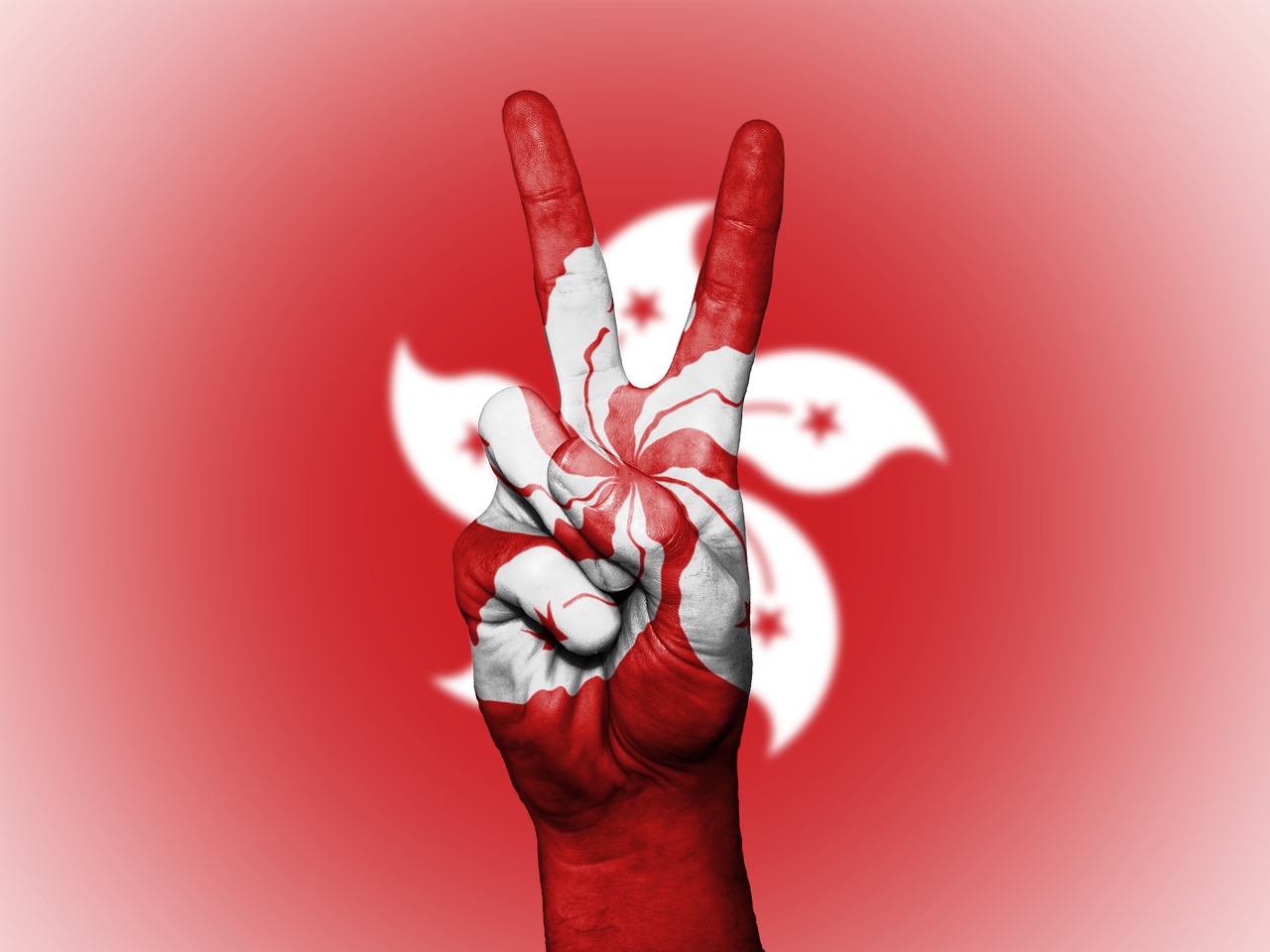 Image - hong kong peace hand nation