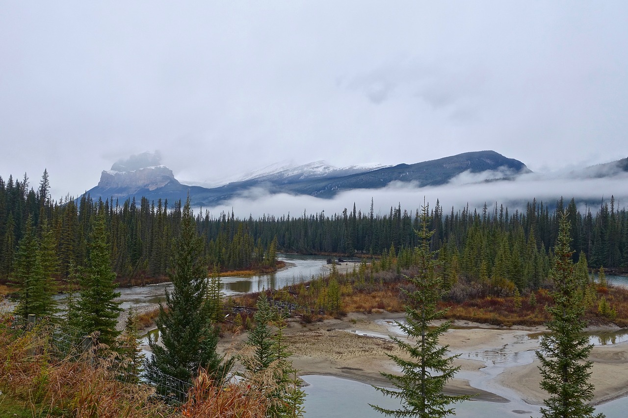 Image - mountain wilderness mist snow