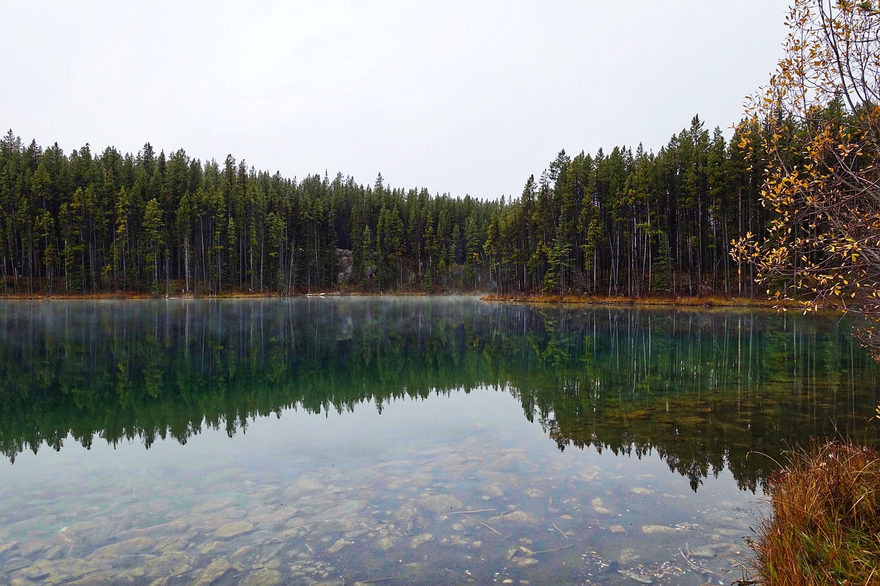 Image - reflection lake water environment