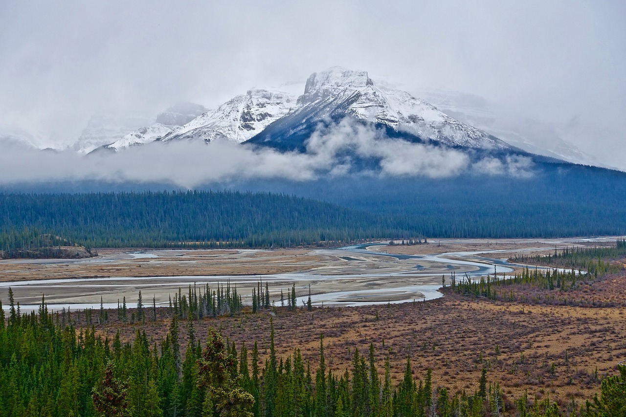 Image - mountain wilderness mist snow