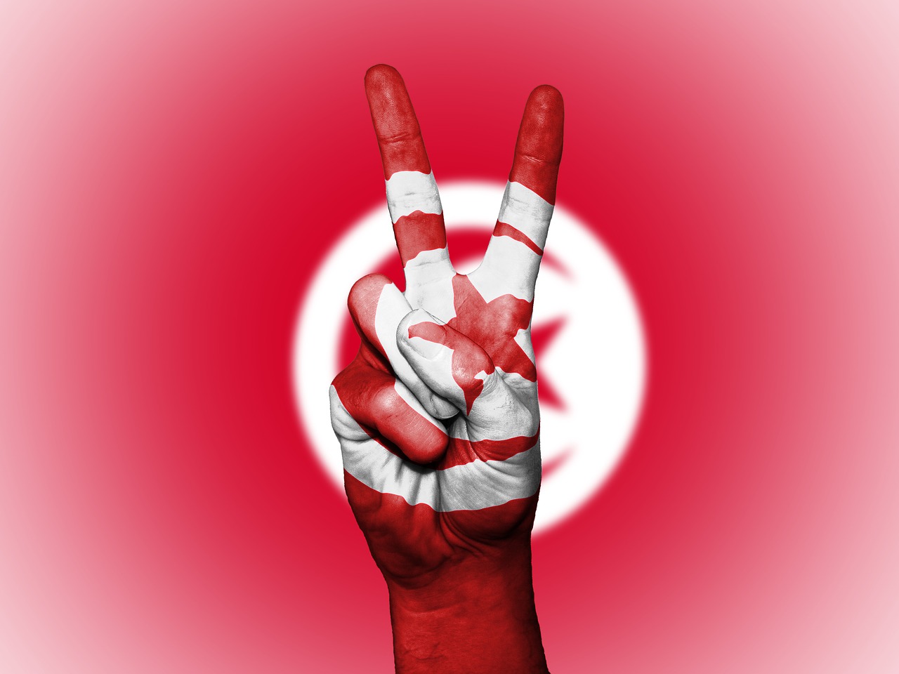 Image - tunisia peace hand nation