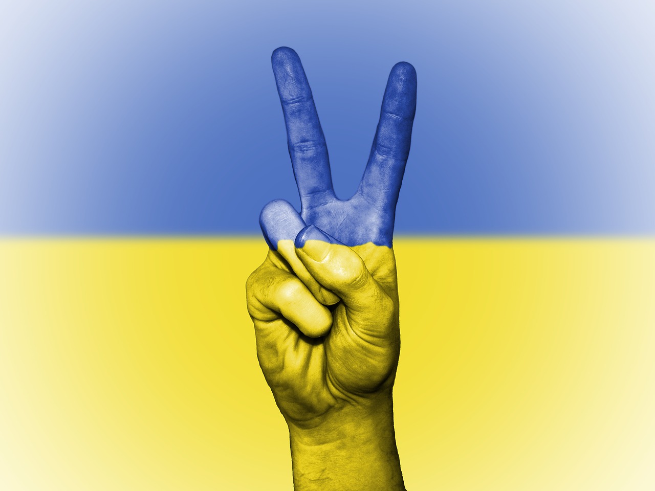 Image - ukraine peace hand nation