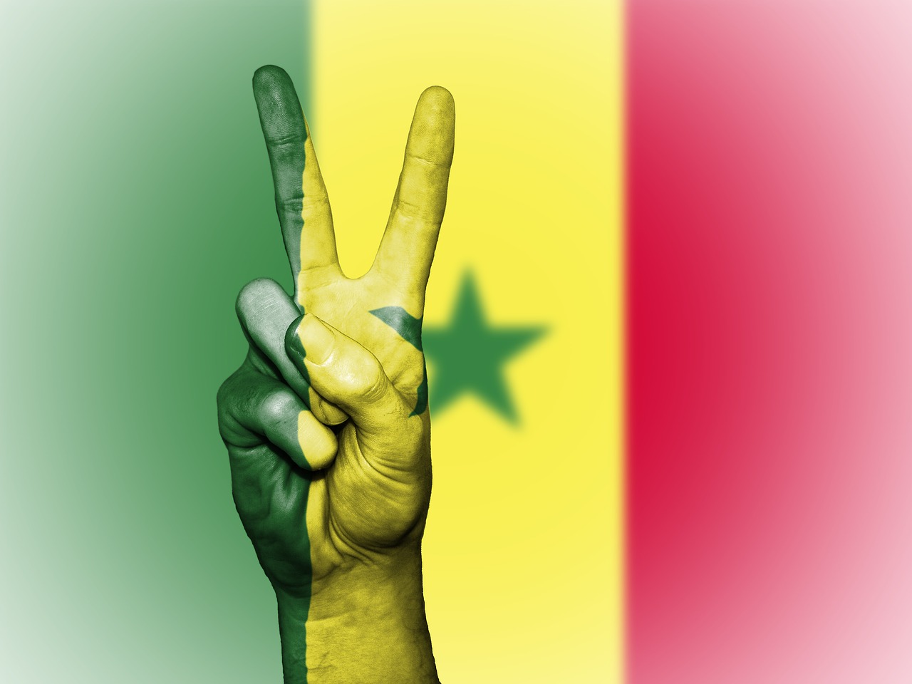 Image - senegal peace hand nation